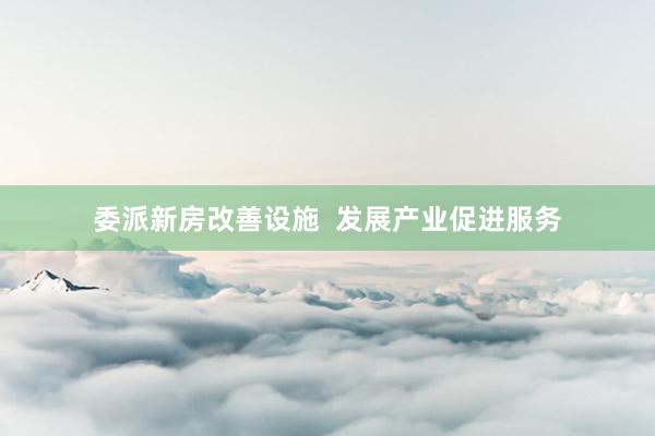 委派新房改善设施  发展产业促进服务