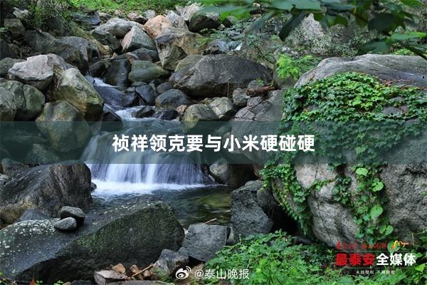 祯祥领克要与小米硬碰硬