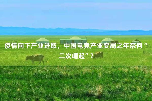 疫情向下产业进取，中国电竞产业变局之年奈何“二次崛起”？