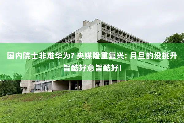国内院士非难华为? 央媒隆重复兴: 月旦的没挑升旨酷好意旨酷好!