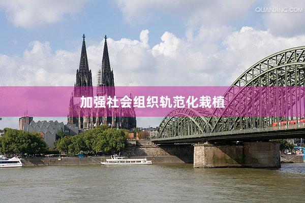 加强社会组织轨范化栽植