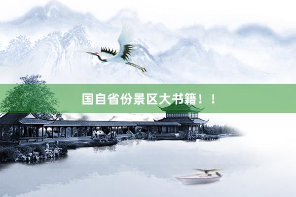 国自省份景区大书籍！！